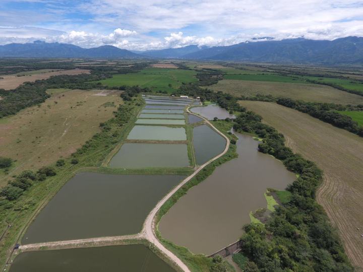 Estanques piscícolas, vista aérea